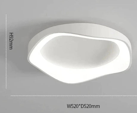 Plafonnier Design : Luminaire en Forme de Fleur Moderne Simple-LUMICONCEPT