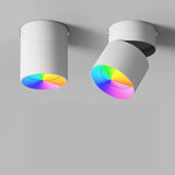 Spot Plafond : Luminaires Intelligents et Connectés pour un Contrôle Moderne-LUMICONCEPT