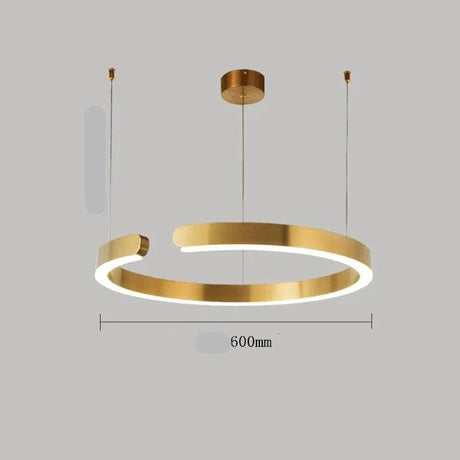 Suspension en Métal Cuivré avec Éclairage Ajustable pour un Style Moderne et Minimaliste-LUMICONCEPT