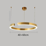 Suspension en Métal Cuivré avec Éclairage Ajustable pour un Style Moderne et Minimaliste-LUMICONCEPT